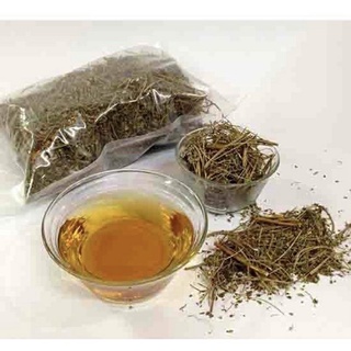Diệp Hạ Châu (cây chó đẻ) khô