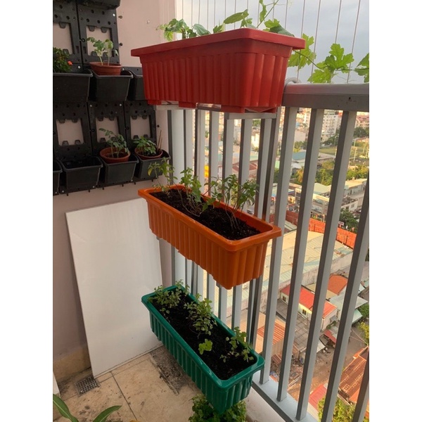 Móc treo 3 tầng trồng cây