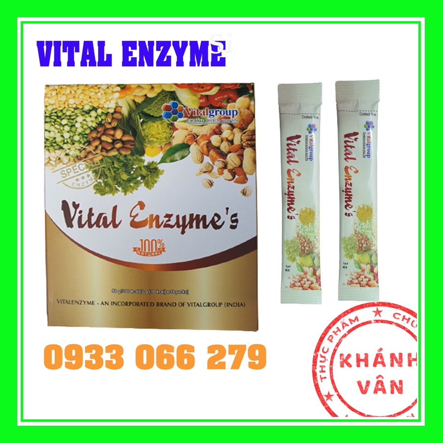 Vital Enzyme’s cửa sổ vàng chính hãng Hàn Quốc