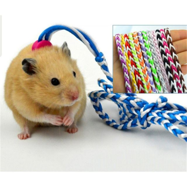 Dây dắt hamster