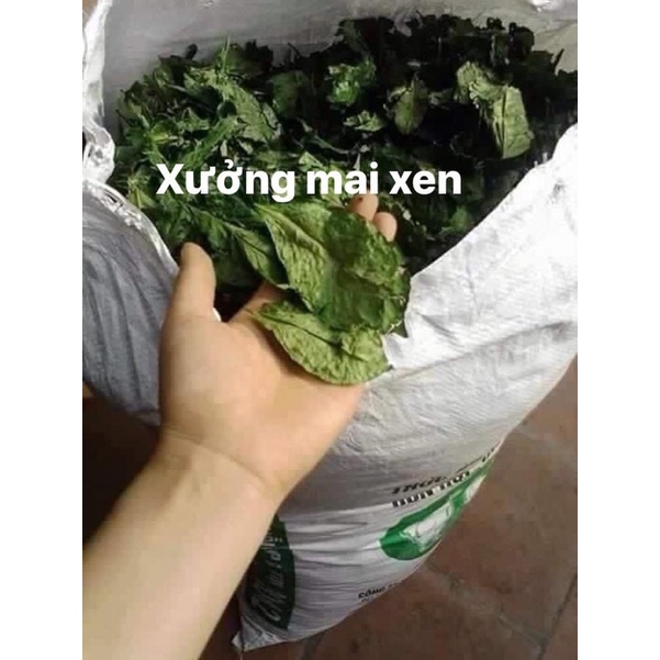 100gr bột trà xanh nguyên chất handmad