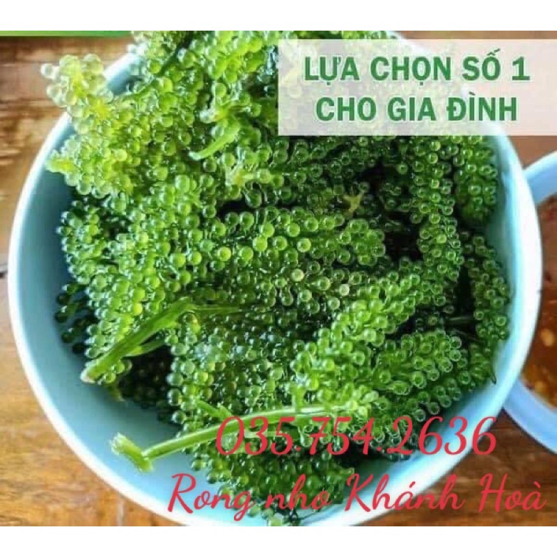 Rong Nho Tách Nước Khánh Hoà 100gr - Công Nghệ Tách Nước Tiêu Chuẩn Nhật Bản