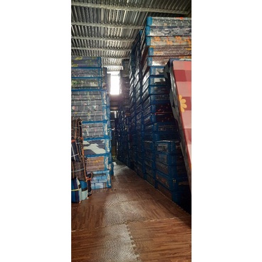 Đệm gấp xốp ép, giường kí túc xá, sinh viên , văn phòng