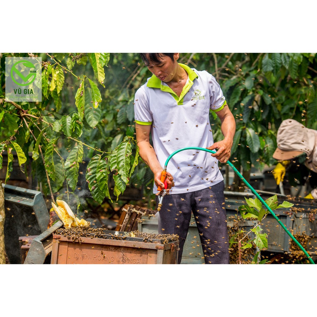 Mật Ong Hoa Cà Phê Nguyên Chất Vũ Gia (100ml/hũ) + Tặng Cọ Quét Dưỡng Da