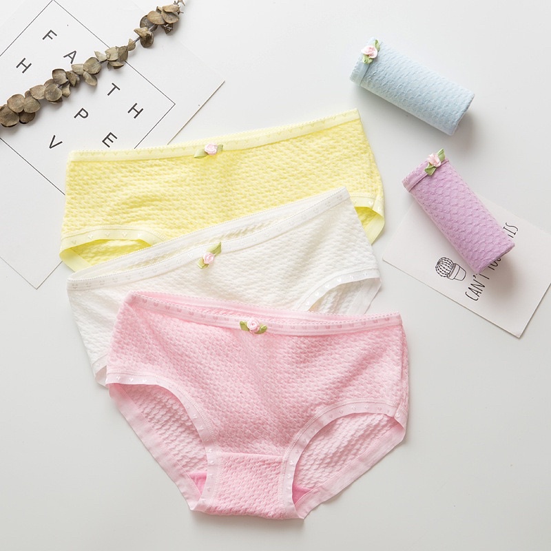 Quần Lót Cotton Thông Hơi Siêu Thoáng 885