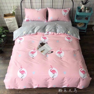 Sét chăn hè cotton