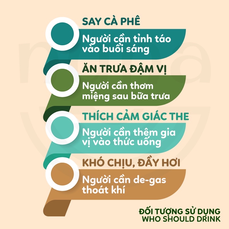 COMBO 3 gói 1G Trà Bạc Hà Cỏ Ngọt dùng thử, thức uống giải nhiệt, the mát, hỗ trợ điều vị, giúp tỉnh táo