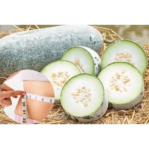 Hạt giống bí đao F1 Loại siêu trái dễ trồng dễ chăm sóc kháng sâu bệnh năng suất cao [ Gói 100gram ,200gram,500gram]