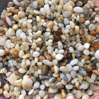 500g Sỏi Suối 3 Màu - Sỏi Thủy Sinh - Phụ Kiện Thủy Sinh
