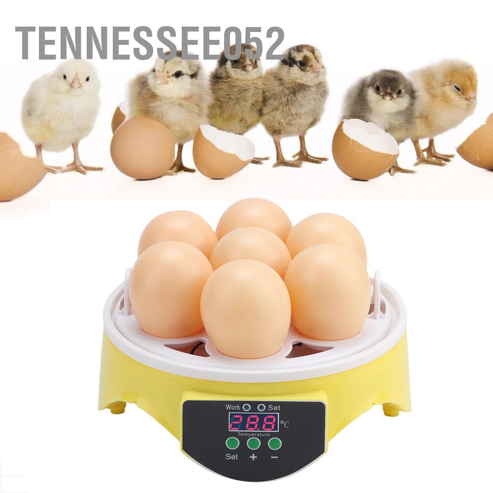 Tennessee052 7 trứng Nhà thông minh Gà vịt Vịt tự động hoàn toàn kiểm soát nhiệt độ ấp