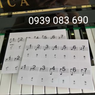 🔮Dán phím đàn Piano