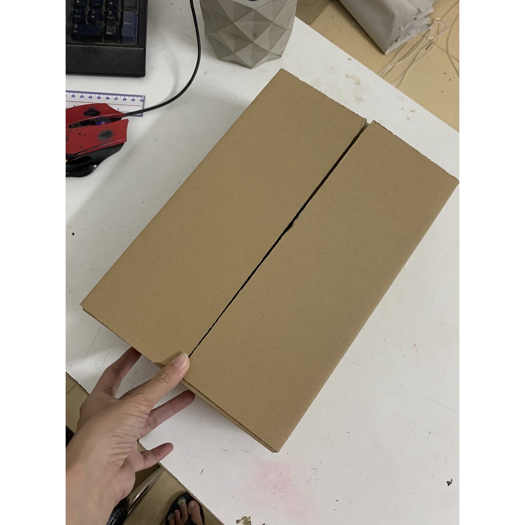 Q12 - 1 Thùng Carton 30x20x7 Cm