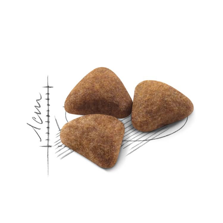 2kg(❁´◡`❁)ROYAL CANIN INDOOR Dành cho mèo trưởng thành trên 12 tháng tuổi - ít vận động.