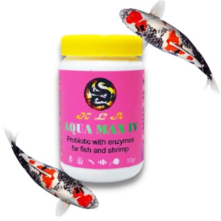 Men Tiêu Hóa Cho Cá Rông Aqua Max IV