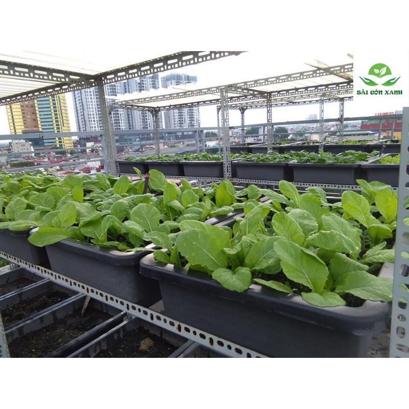 Chậu Nhựa Thông Minh,Nuôi Cá,Trồng Rau Hình Chữ Nhật Lớn 2 Kích Thước Và 3 Màu