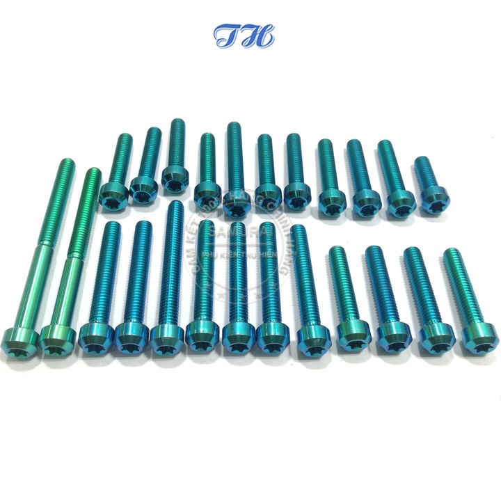 Full Bộ Ốc Gắn Lốc Máy  Gr5 Cho Xe Raider Xăng Cơ Màu Titan,  Lục Bảo ( 21 CON)