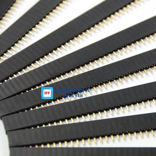 Hàng Rào Đực - Cái 40 Chân (Header Jum 2.54 40Pin)
