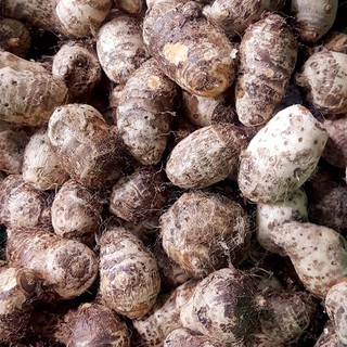 Củ khoai sọ 500gr