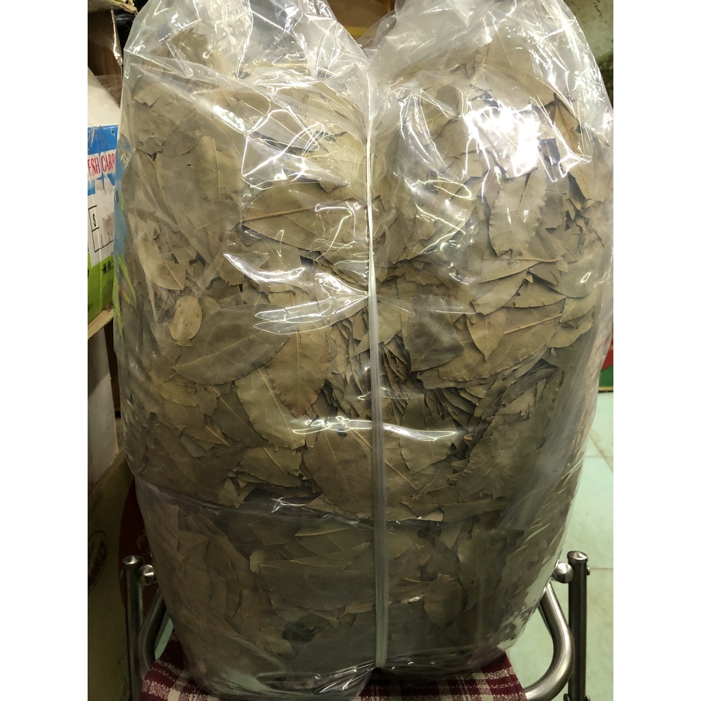 Lá nguyệt quế khô / lá thơm / lá bayleaf