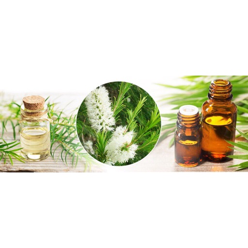 Dầu tràm cung đình 50ml Diamond