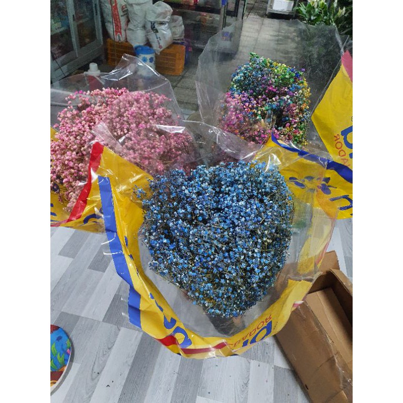 Hoa bi khô tự nhiên