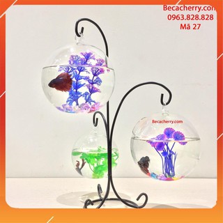 Bể cá mini tam trụ 27 ( Tặng kèm combo phụ kiện trang trí )