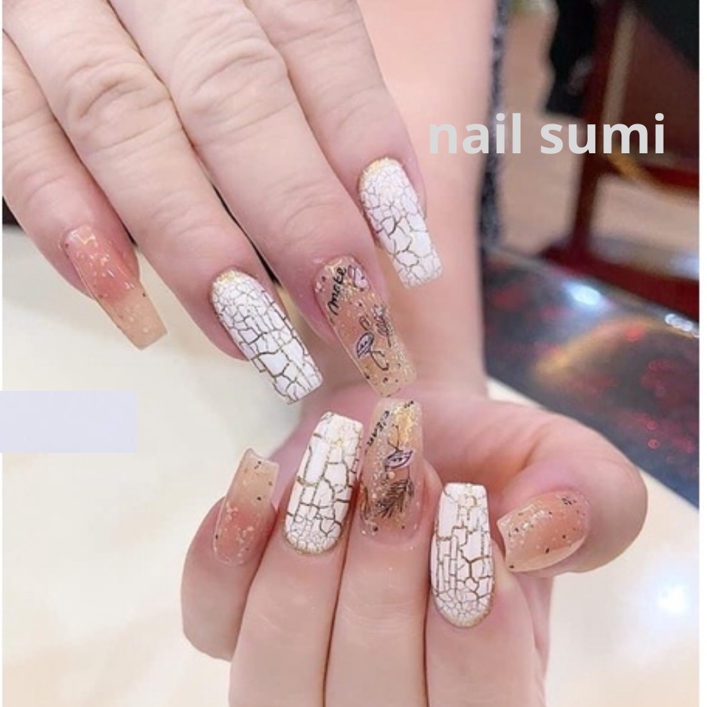 Sơn Nứt, Sơn Gel Nứt Vendeeni Đen Trắng