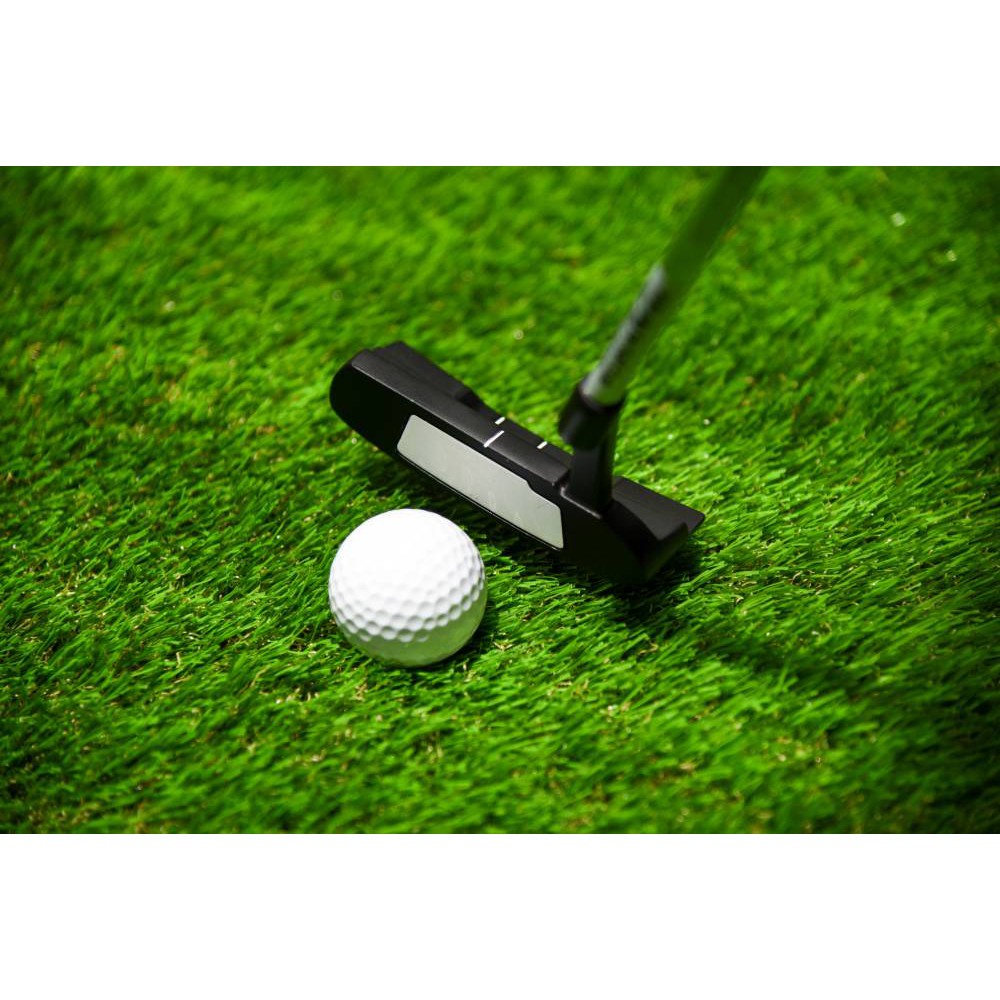 Gậy tập golf putter G300 chính hãng PGM gậy tập chơi golf TUG025
