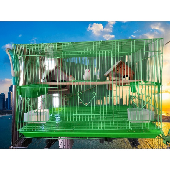 Lồng chứa chim nuôi chim nhỏ 60x42 x40 cm