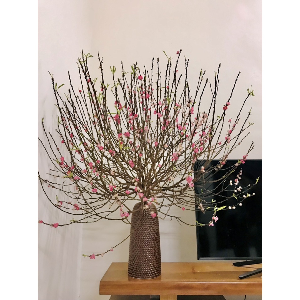 Bình Hoa Lọ Hoa Dáng Chuông Tổ Ong Dáng Mới Gốm Sứ Bát Tràng Lọ Hoa Cắm Đào Lựu Tuyết Mai - Gốm Bích