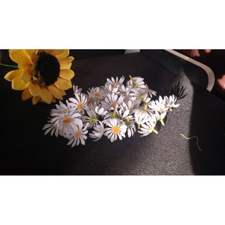 [GIẢM GIÁ] 20 Nhị Lông 1.5cm