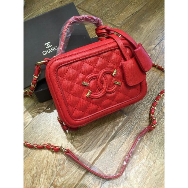 Chanel case