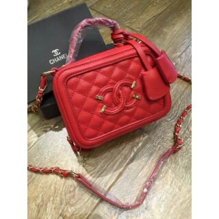 Chanel case