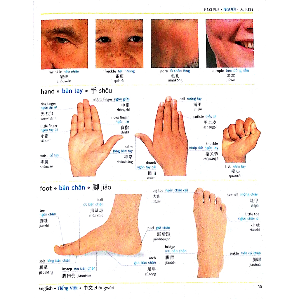 Sách - Trilingual Visual Dictionary (English-Vietnamese-Chinese)