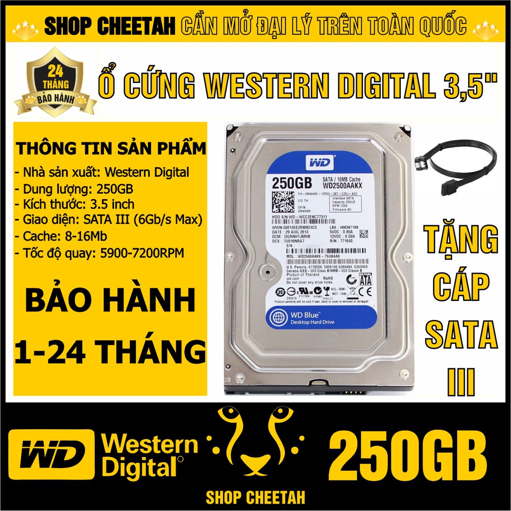 (BH 1-24 tháng) Ổ cứng 250GB Western Digital HDD 3.5” - Chính Hãng – Tháo máy đồng bộ mới 99% - HDD WD xanh