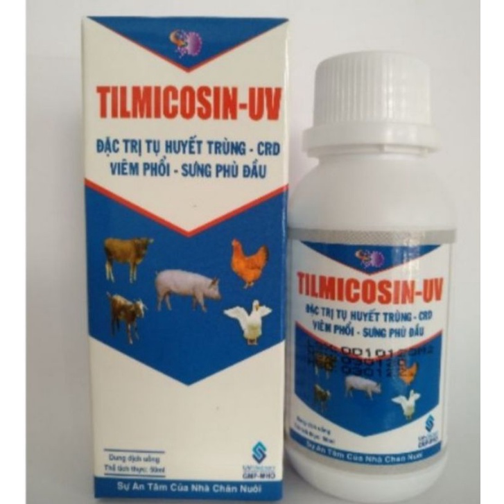 1 chai Tilmicosin 100ml CRD, phổi, sưng phù đầu