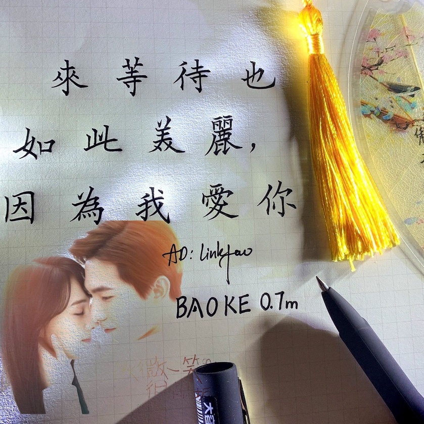Bút Baoke chuyên dụng 0.7m viết chữ hán Gel pen - BKTL01