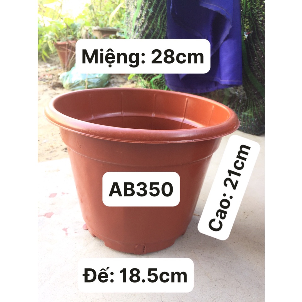 5 CHẬU NHỰA TRỒNG CÂY MÃ #AB350 (BẦU KHAY TÚI ƯƠM CÂY, DỊCH TRUYỀN CỨU CÂY...)