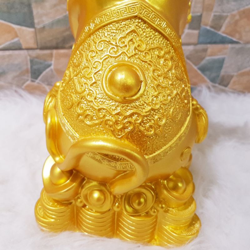 Chuột vàng tiết kiệm kích thước to