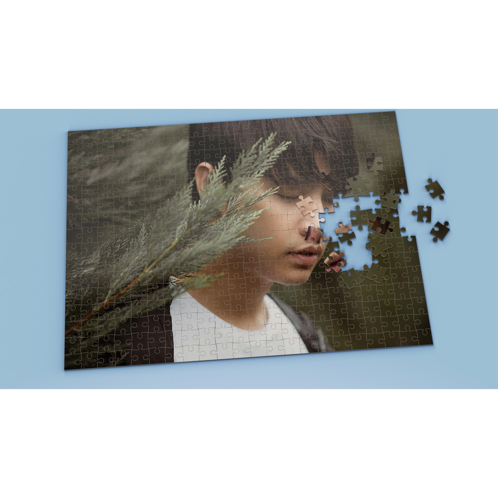 Tranh ghép hình Ca sĩ nhiều kích thước -Tranh ghép hình Noo Phước Thịnh - NPT15 - Nhận in hình tranh