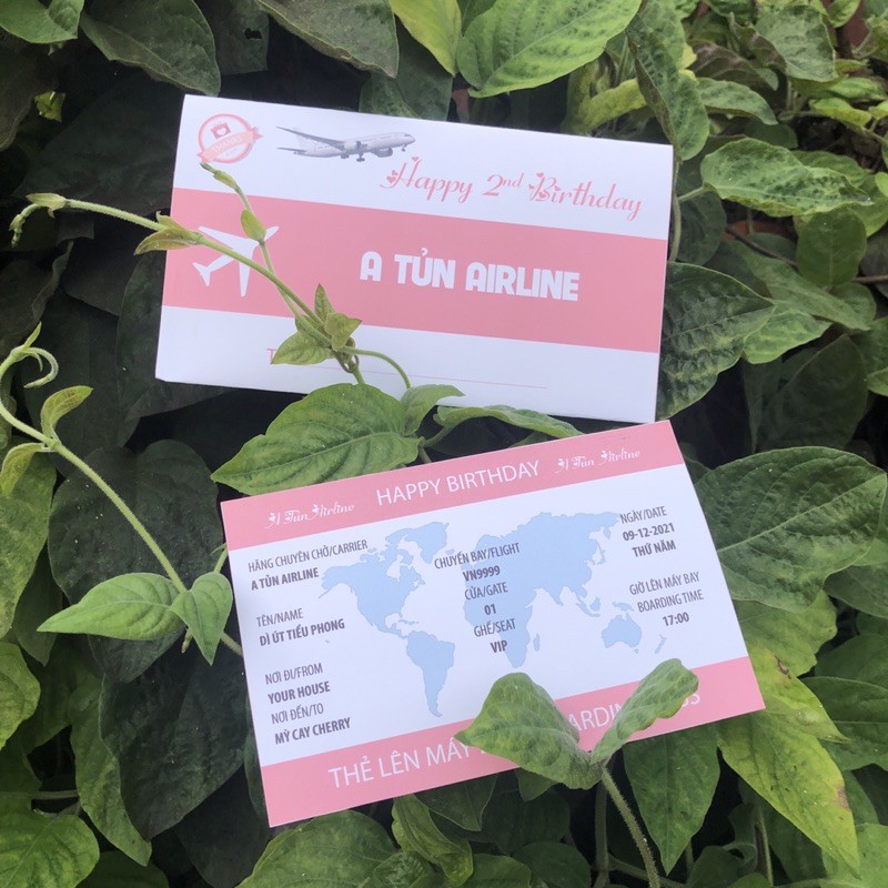 Thiệp mời sinh nhật mẫu Vé máy bay Hồng