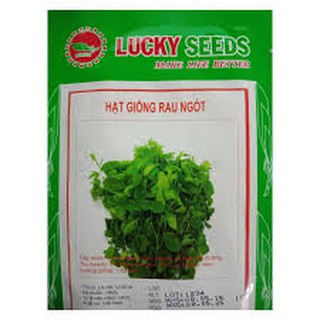 HẠT GIỐNG RAU NGÓT (1G)