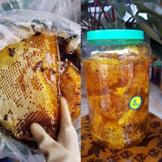 Mật Ong Khoái Rừng Tây Bắc Nguyên Chất