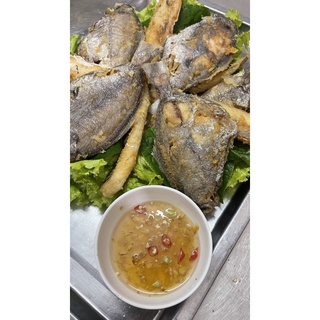 Cá Đội Đèn 1 Nắng