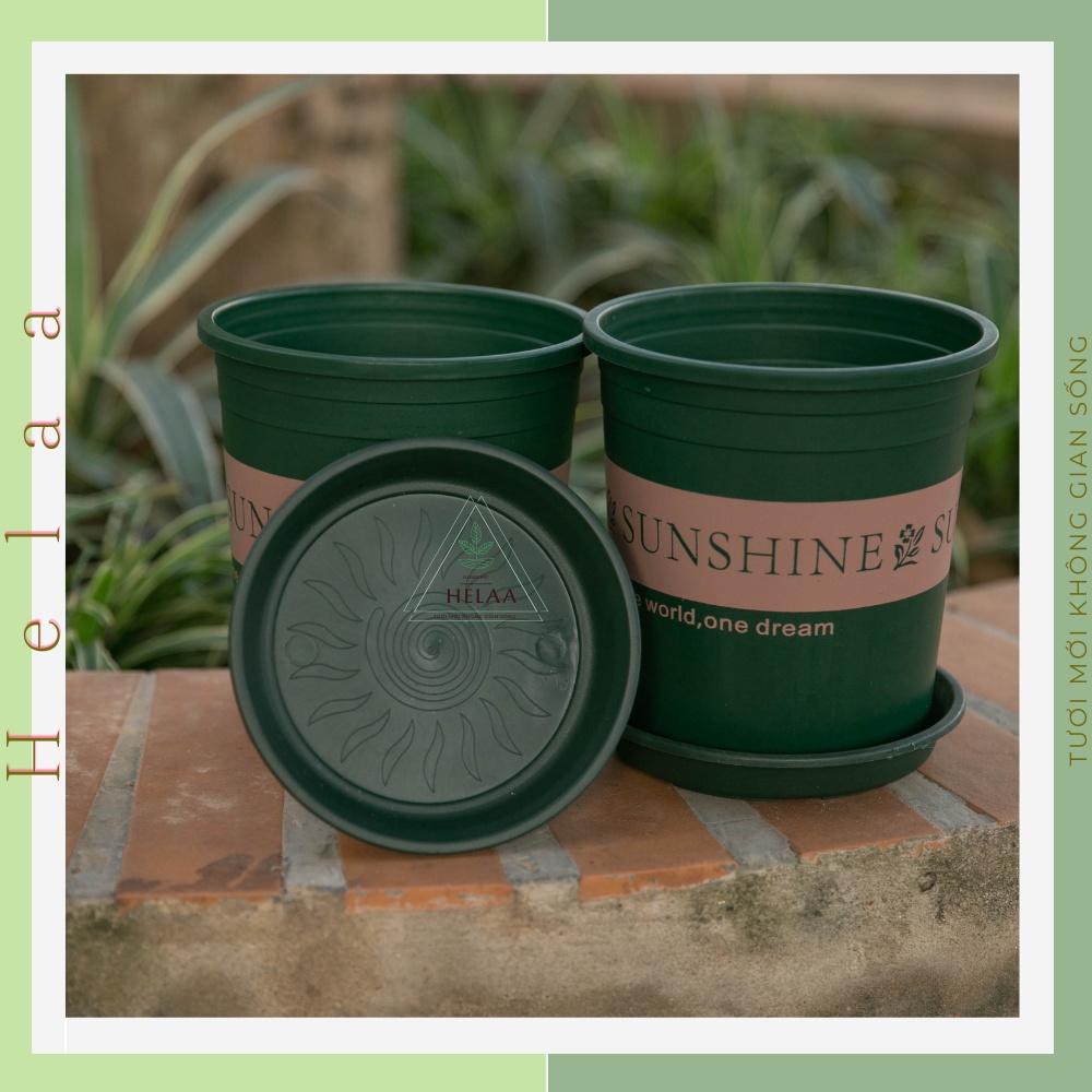 Chậu Nhựa Trồng Hoa SUNSHINE 3 Gal, 1.5 Gal, 1 Gal, Cây Cảnh,Trang Trí Ban Công, Sân Vườn, Văn Phòng - Có Dĩa Kèm