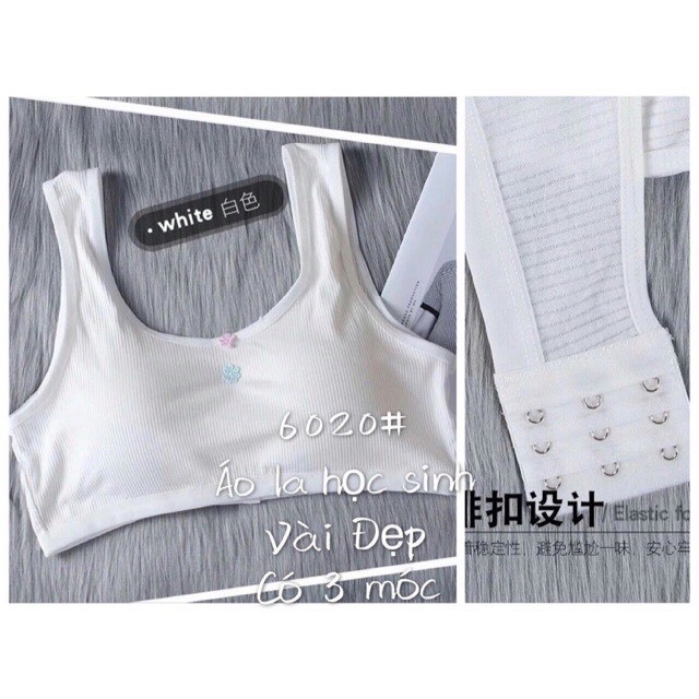 Áo Học Sinh Cotton Tăm Có Móc Cài Sau 6020