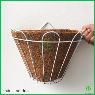 Chậu Xơ Dừa Treo Tường Fi12