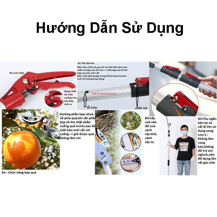 Kéo Cắt Cành Trên Cao Nhật Bản Dài 3 Đoạn Có Cưa