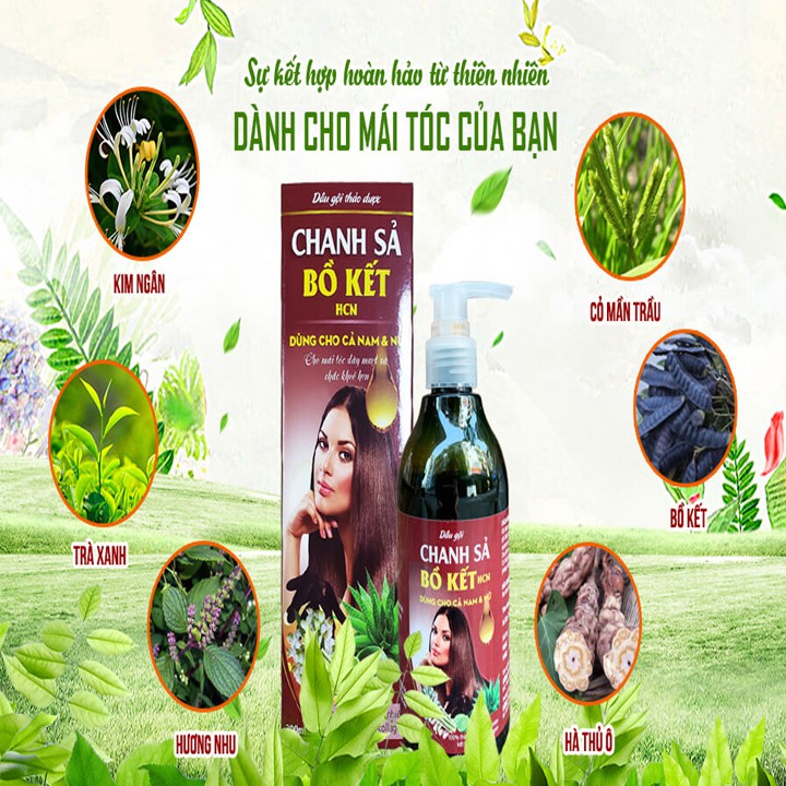 Dầu Gội Thảo Dược Chanh Sả Bồ Kết Giúp Tóc Đen, Siêu Mềm Mượt