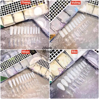 Móng úp tay nhám sẵn, móng giả HSM hộp 500 móng tem vàng